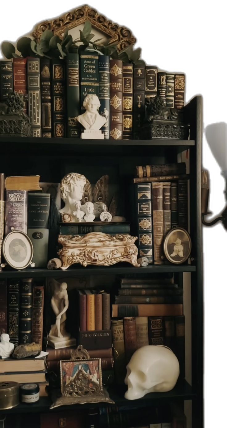 a book shelf filled with lots of books and figurines