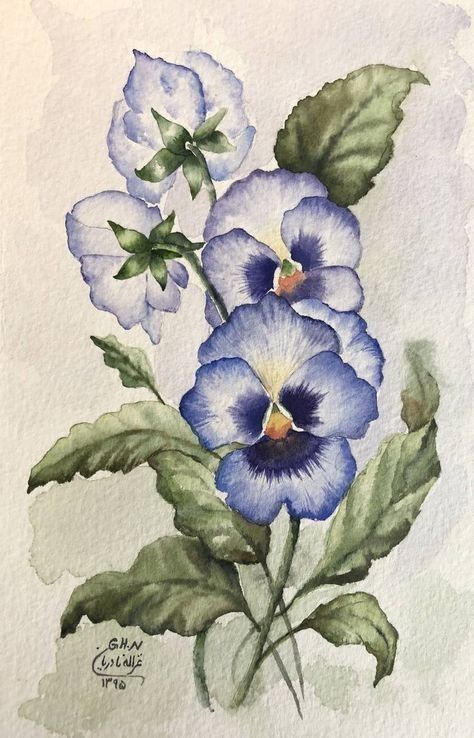 watercolor painting of blue pansies with green leaves on a white background by coby crisby