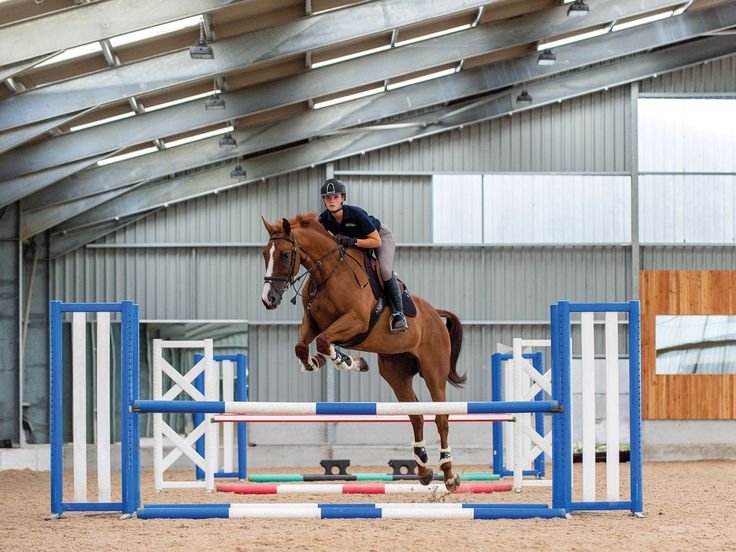 a person on a horse jumping over an obstacle