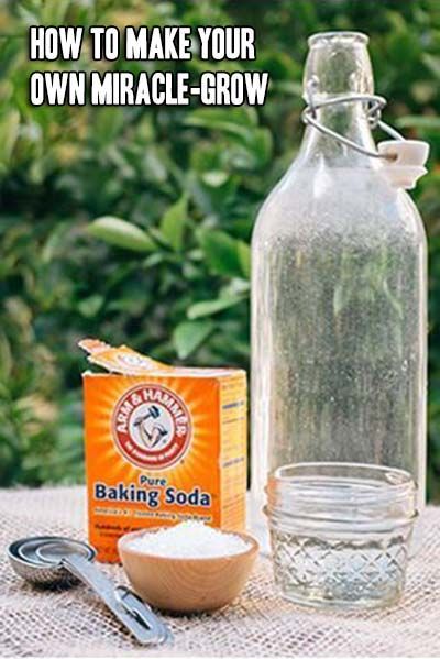 baking soda in a glass bottle and other ingredients