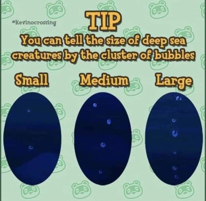 three blue bubbles with the words tip you can tell the size of deep sea creatures by the cluster of bubbles small medium large