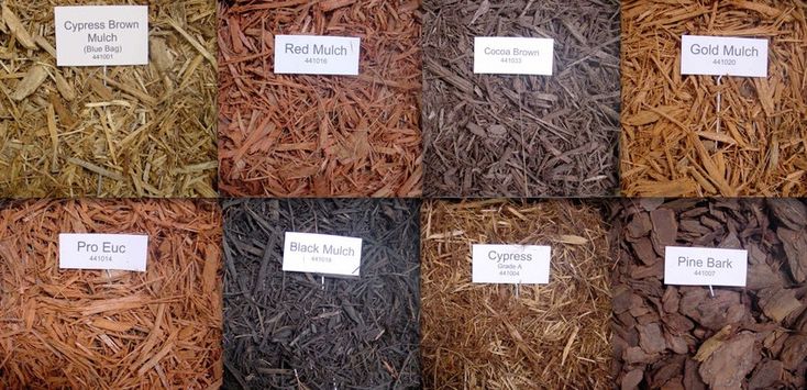 many different types of wood chips are arranged in the same square pattern, each with their own name tag