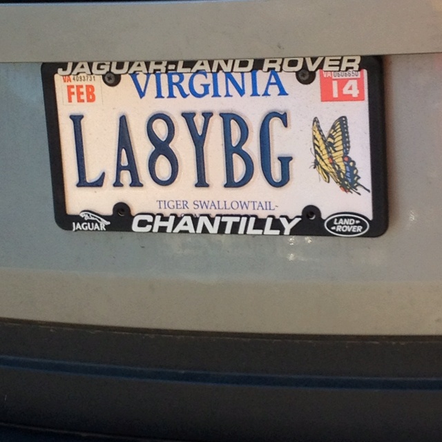 the license plate for this car is clearly visible