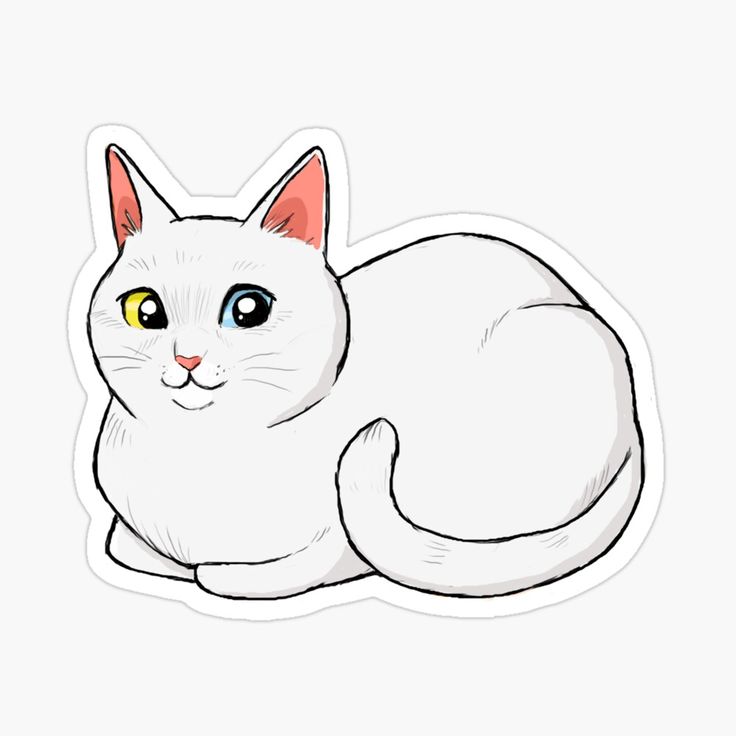 a white cat with blue eyes laying down sticker on a white background and looking at the camera