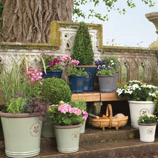 many potted plants are lined up on the steps