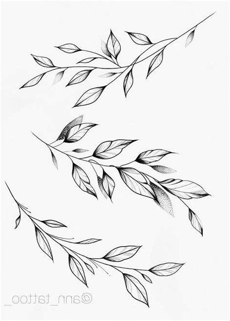 two branches with leaves drawn on them