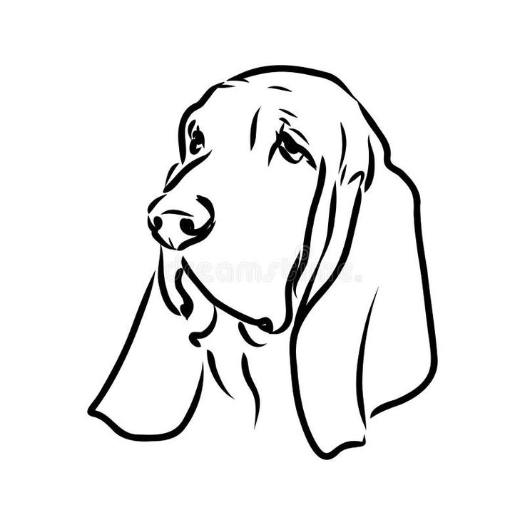 a black and white drawing of a dog's head with long ears royalty illustration