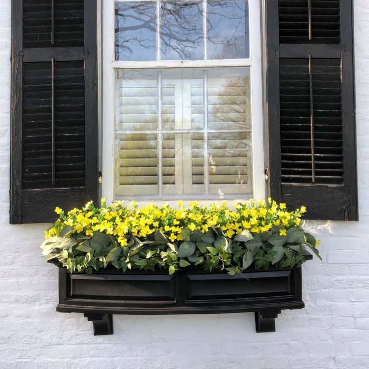 a window with black shutters and yellow flowers in the planter on the outside