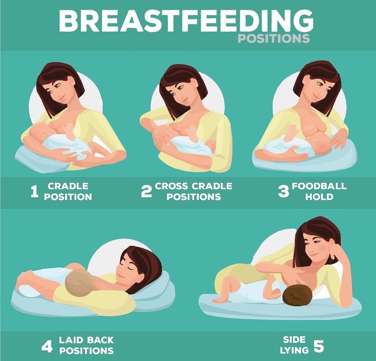 the stages of breastfeeding positions are shown in this graphic diagram, which shows how to