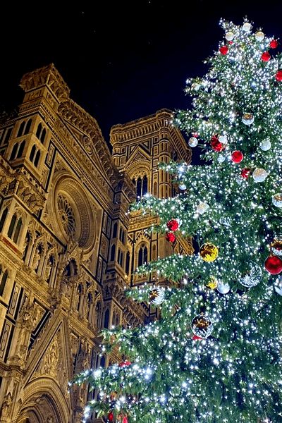 a large christmas tree in front of a building