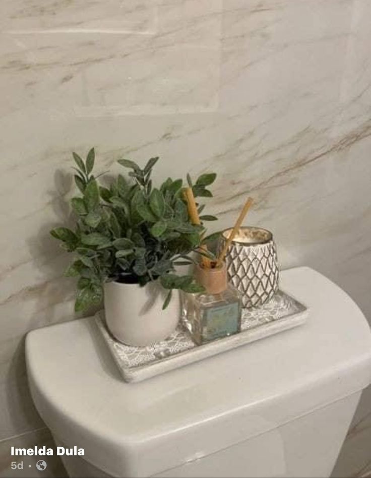 a white toilet sitting in a bathroom next to a plant on top of the tank