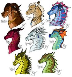 the heads of different types of horses are depicted in this cartoon style drawing by person