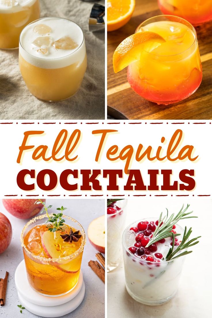 fall tequila cocktails with orange and cranberry garnishes, lemonade, and cinnamon