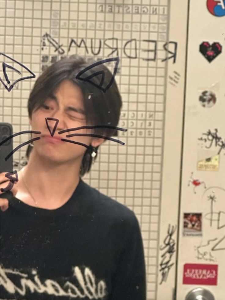 a person holding a cell phone in front of a mirror with cats drawn on it