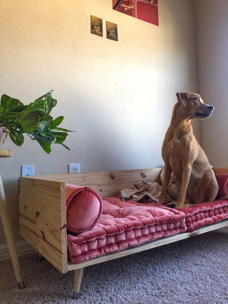 a dog sitting on top of a futon bed next to a potted plant