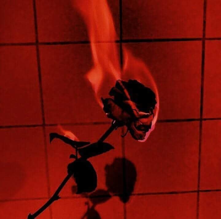 a single rose on a stick in a room with tile walls and red lighting behind it