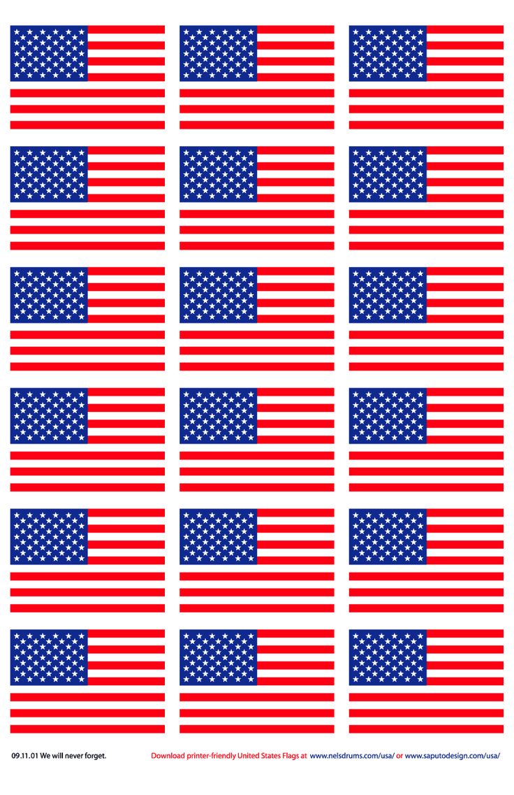 the american flag is shown in red, white and blue colors with stars on each side