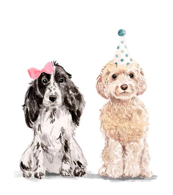 two dogs sitting next to each other wearing party hats