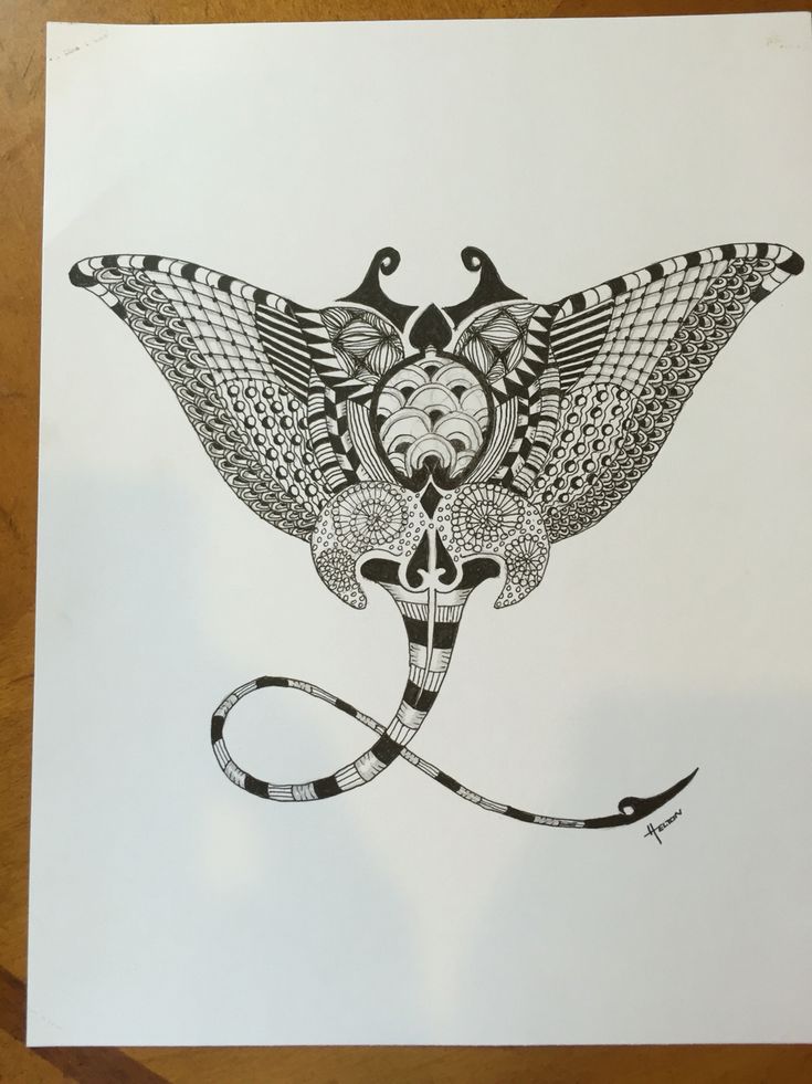 a black and white drawing of a bird with an intricate design on it's wings