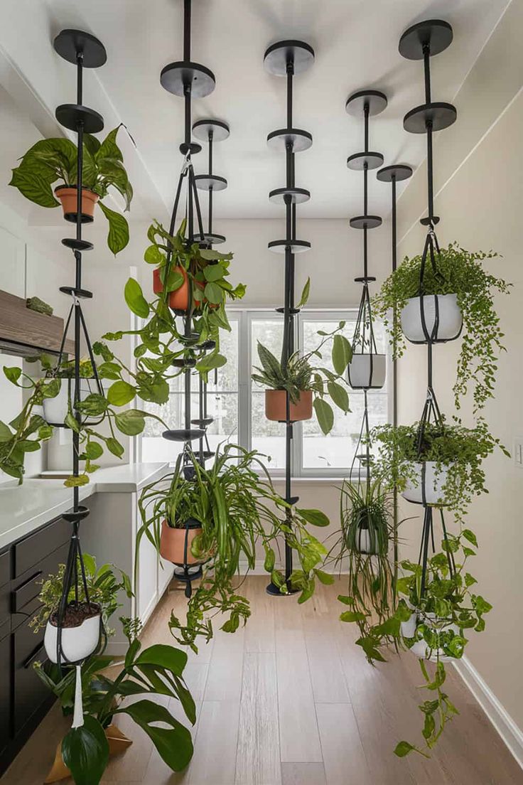 a room filled with lots of potted plants and hanging planters on the wall