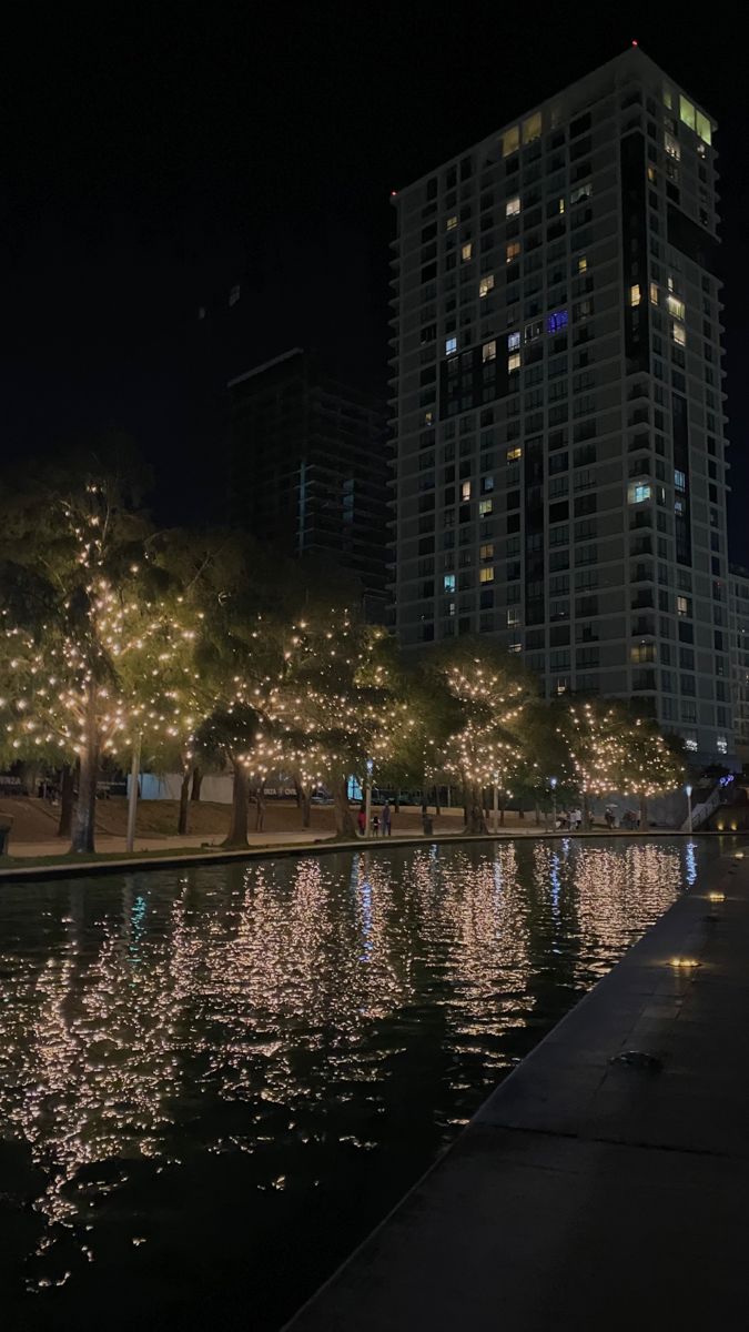 trees are lit up along the edge of a body of water with buildings in the background