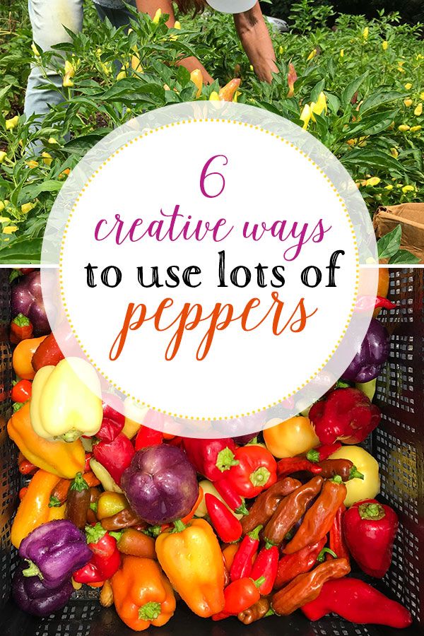 a basket filled with lots of different types of peppers and the words 6 creative ways to use lots of peppers