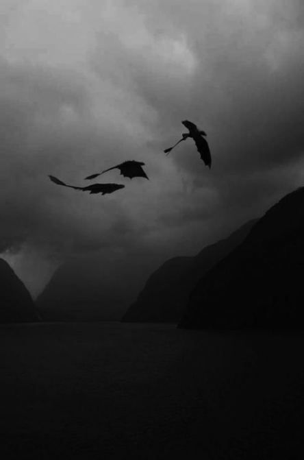 two birds are flying in the air over water and mountains with dark clouds above them