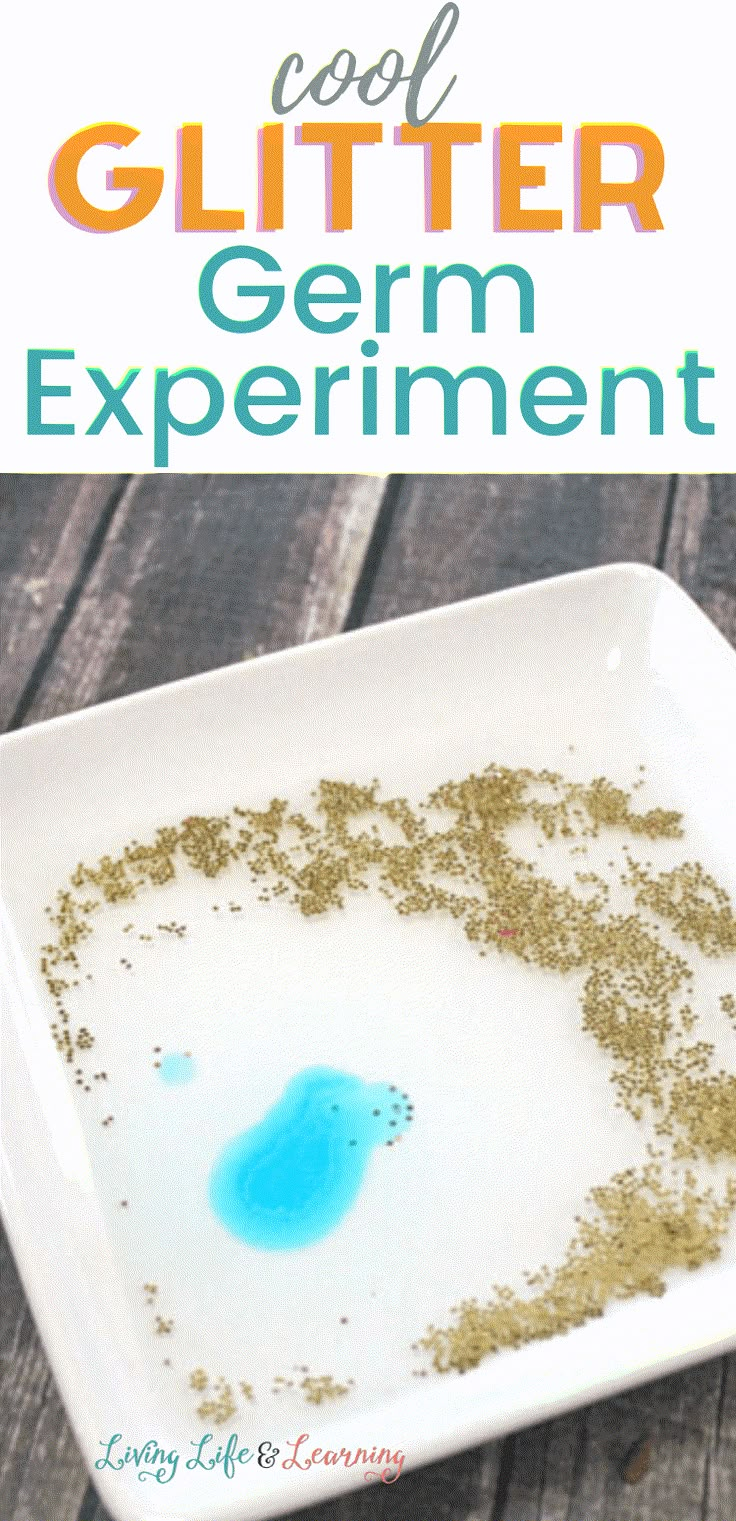 a white plate topped with lots of dirt next to a blue bowl filled with green stuff