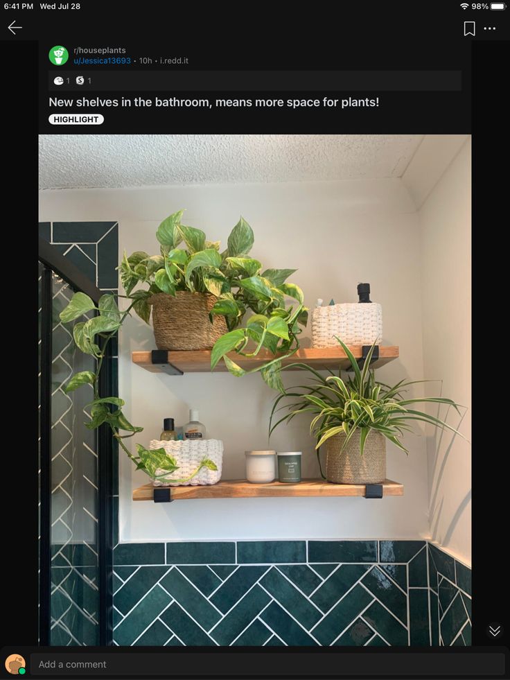 two shelves with plants on them in a bathroom