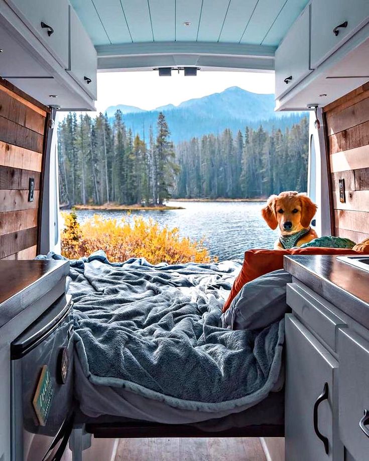 a dog sitting in the back of a camper looking out at a lake and mountains