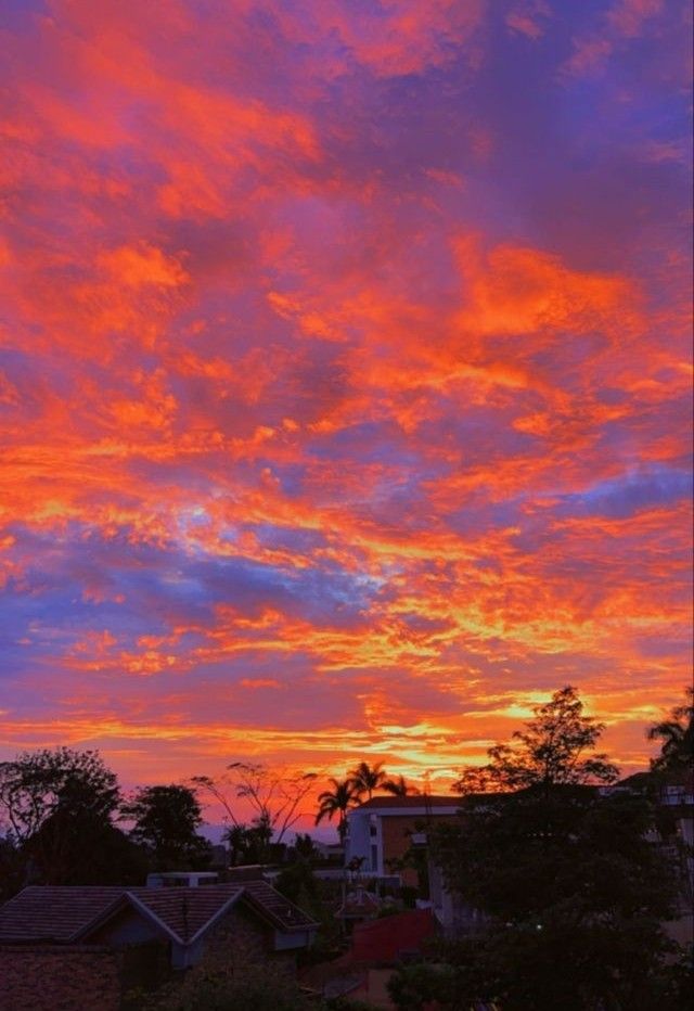 the sky is pink and purple as it sets in front of some houses with palm trees