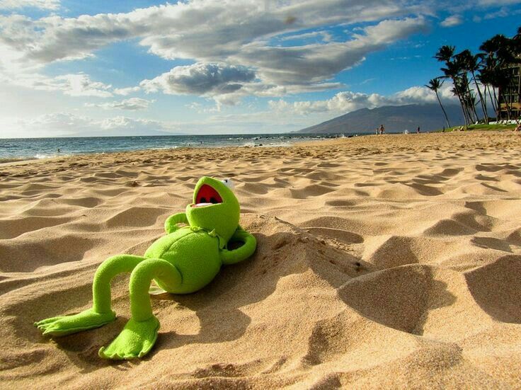 a green stuffed animal laying on top of a sandy beach