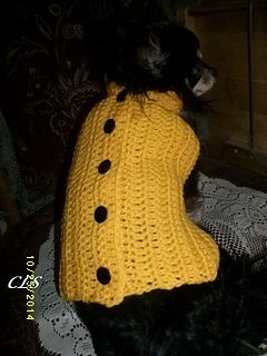 a black dog wearing a yellow sweater with buttons on it's collar and back