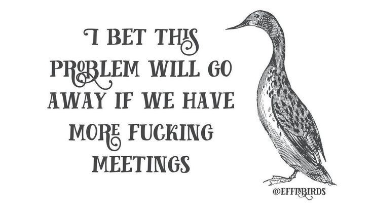 Effin Birds, Winning Awards, Curse Words, Funny Birds, Work Memes, Work Humor, Sarcastic Quotes, Bones Funny, Make Me Smile