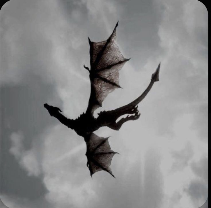 a large black dragon flying through the sky