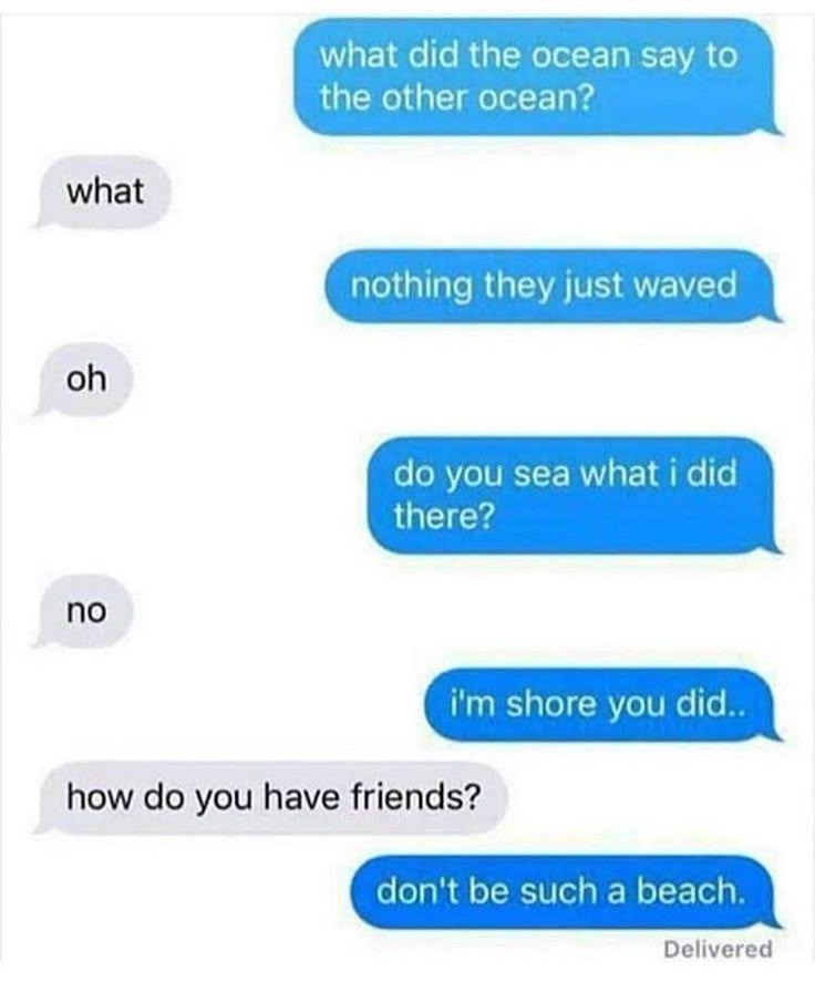 two texts that say, what did the ocean say to the other ocean? nothing they just