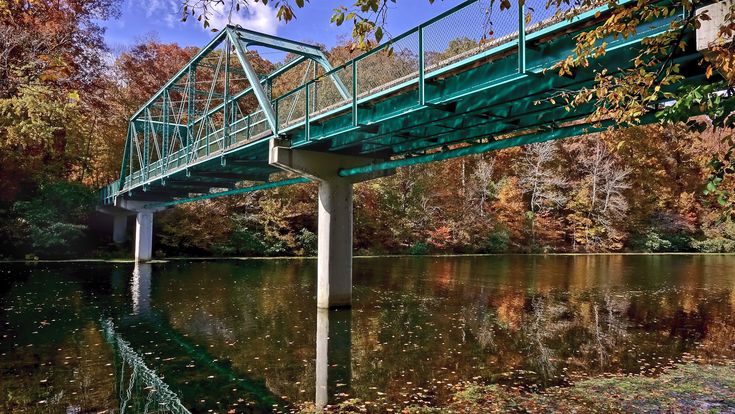 a bridge over a body of water surrounded by fall foliage and trees with leaves on the ground