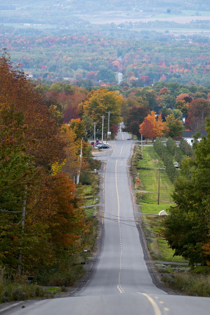 an empty road surrounded by trees with fall foliage on the sides and hills in the distance