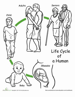 the life cycle of a human is shown in black and white, with an image of people