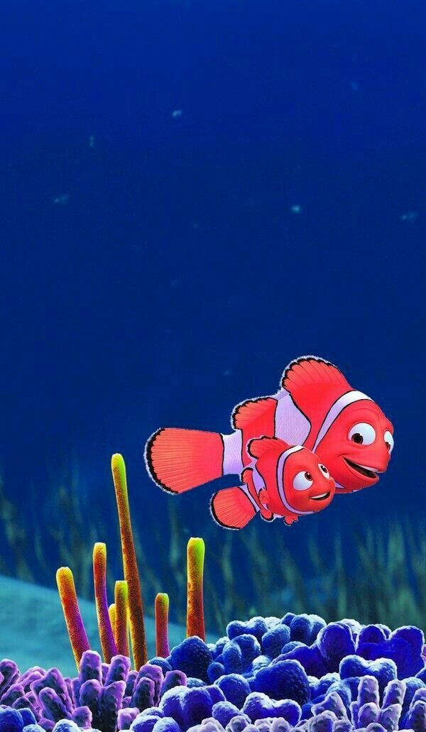 an orange and white clown fish swimming over some corals in the ocean with blue water