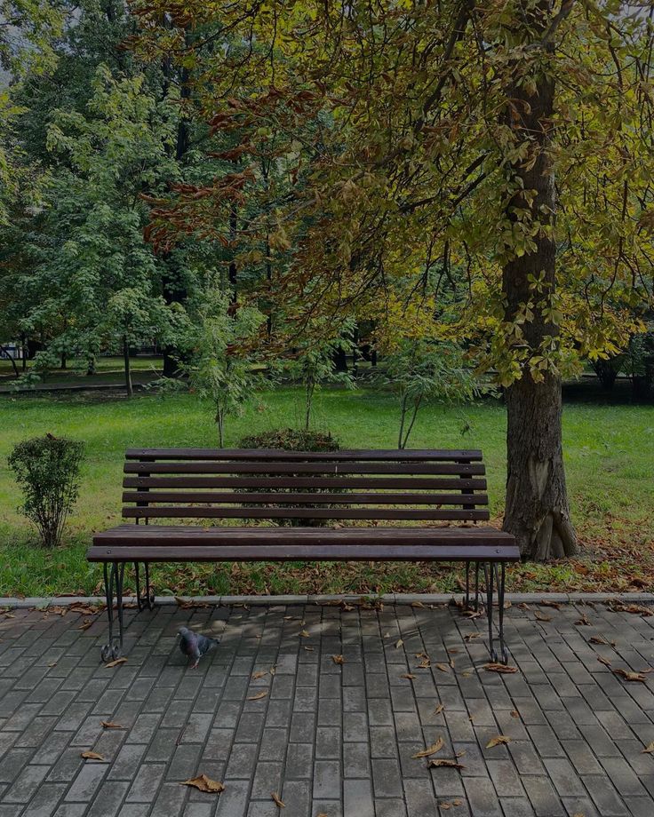 a wooden bench sitting next to a tree on top of a brick floored walkway