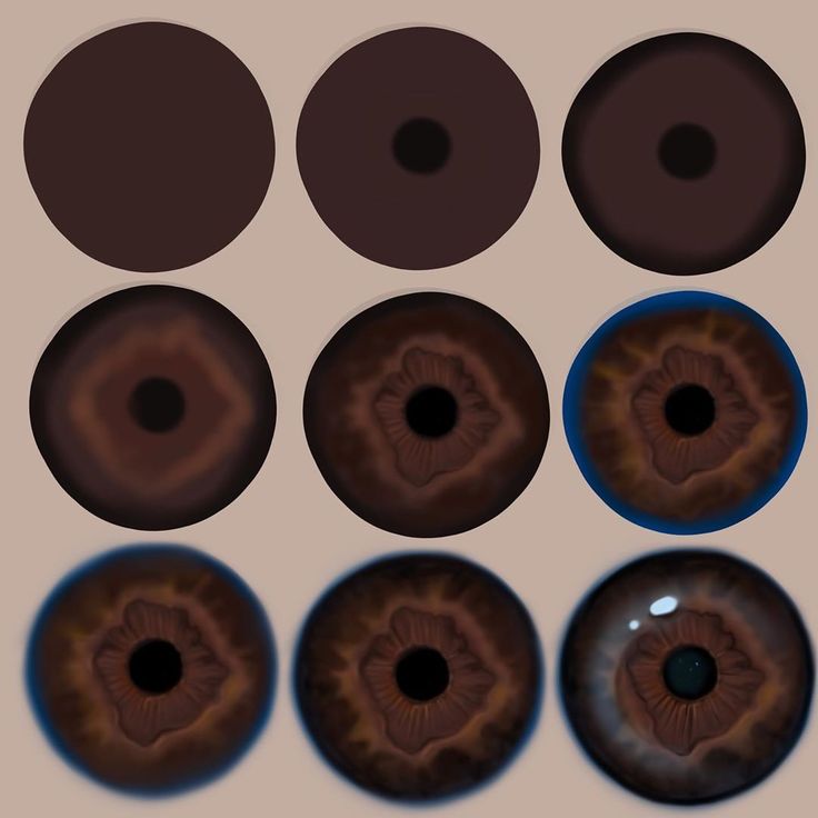 six different types of eyeballs with brown and black circles around them on a white background