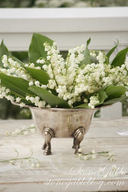 a metal bowl filled with white flowers on top of a table