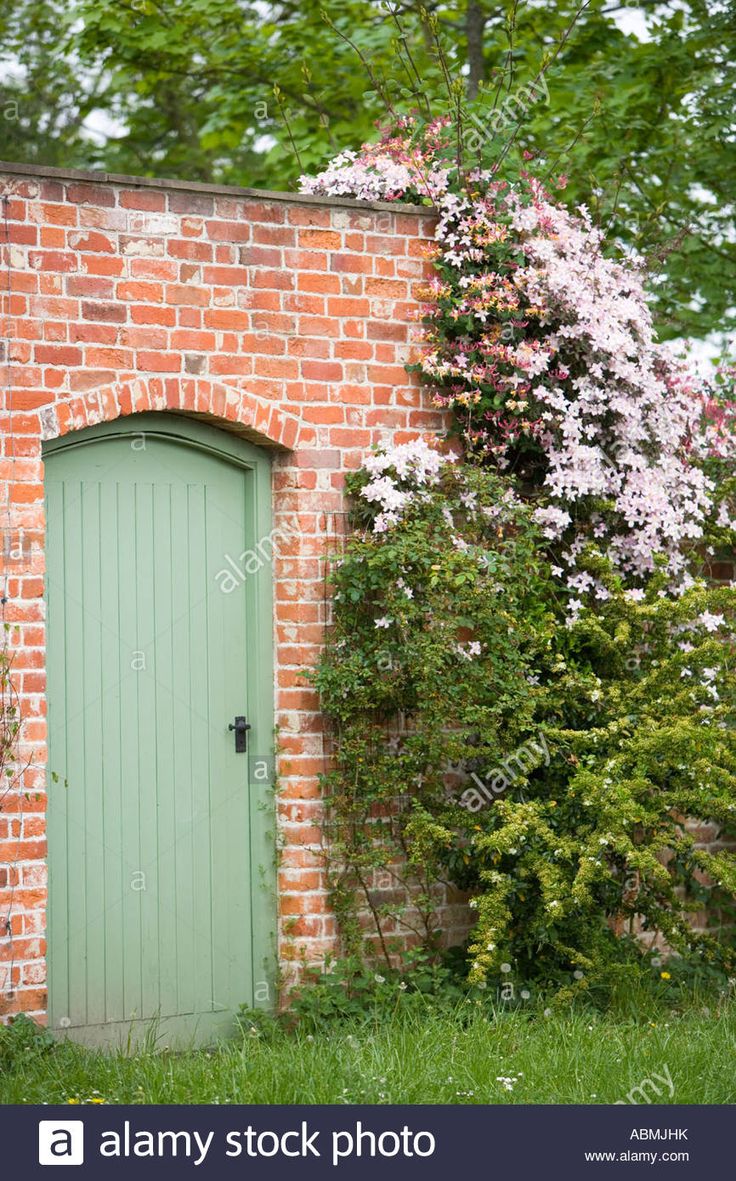 an old brick wall with a green door and flowers growing on it - stock image