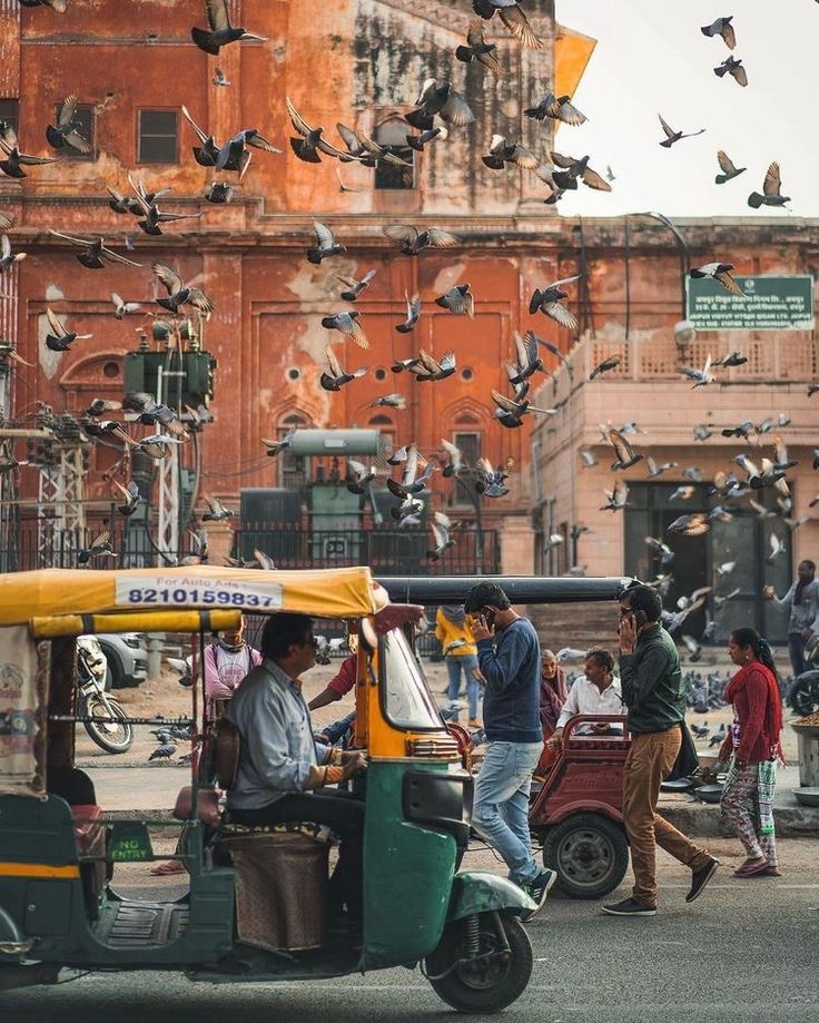 many birds are flying in the air above a street with people on it and a tuk tuk