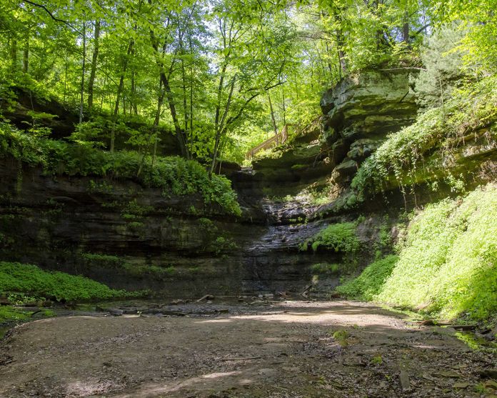 there is a small waterfall in the woods