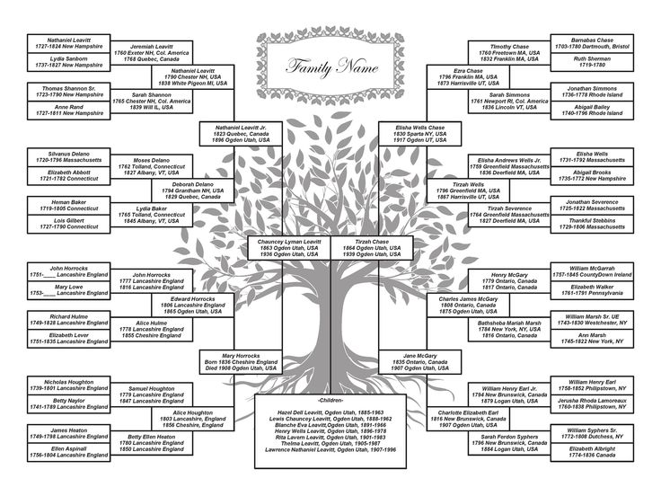 the family tree is shown in black and white, with many names on it's branches