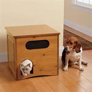 a dog and cat sitting next to each other on the floor in front of a wooden box