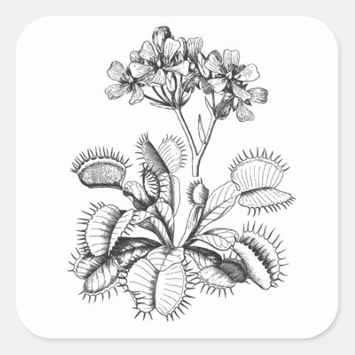 a plant with leaves and flowers in black ink on white square sticker, featuring an image