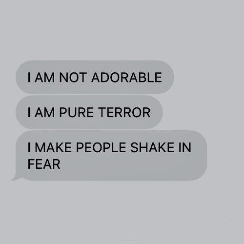 two texts that say i am not adorable, i am pure error, i make people shake in fear